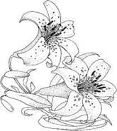 http://t1.gstatic.com/images?q=tbn:ANd9GcT_SWhhK3kljvPxcT9DNKDoI7Hqtx68PGRBDmD6ALB_iPqwVRFFiA